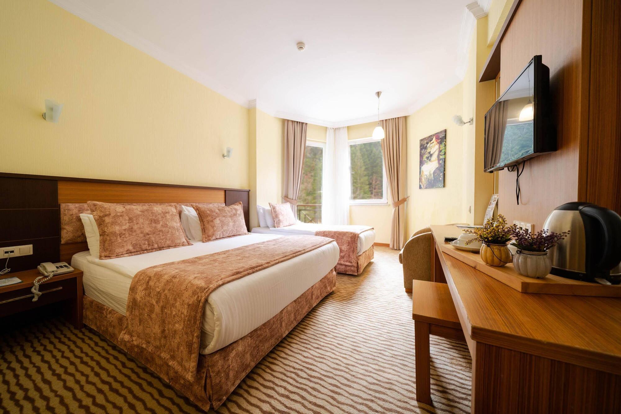 Ridos Thermal Hotel & Spa Ikizdere  Екстер'єр фото